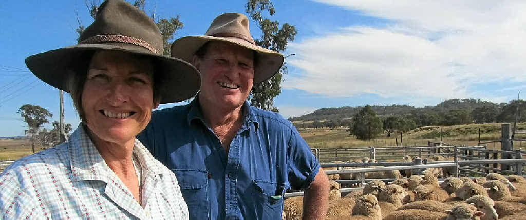 Pru and Stuart Barkla, Mt Molar Park, Clifton, with 10-month-old prime lambs ready to be trucked to Wallangarra abattoirs this week. Pru and Stuart Barkla, Mt Molar Park, Clifton, with 10-month-old prime lambs ready to be trucked to Wallangarra abattoirs this week.